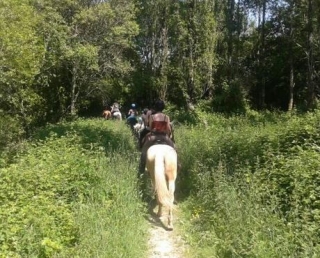 Randonnee equestre sur plusieurs jours dans le 44